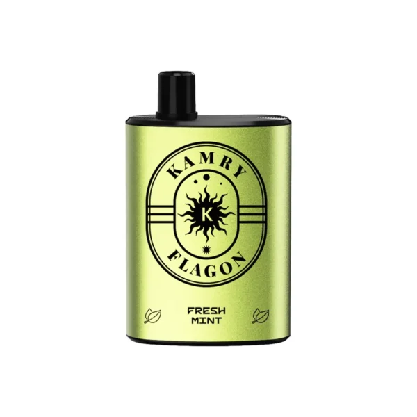 Kamry Flagon 8000 Puffs Disposable Vape - China Warehouse