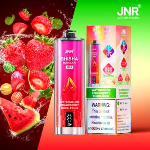 JNR Shisha Hookah Max 22000 Puffs Disposable Vape - EU Warehouse