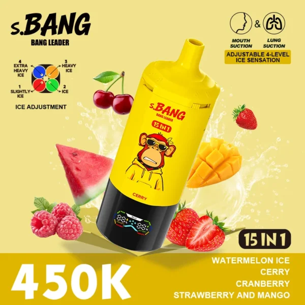 Bang Leader 450K Puffs Disposable Vape - 10 Pcs/Box (CN Warehouse)