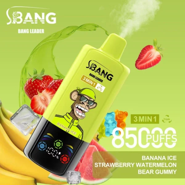 Bang Leader 85K Puffs Disposable Vape - 10 Pcs/Box (CN Warehouse)